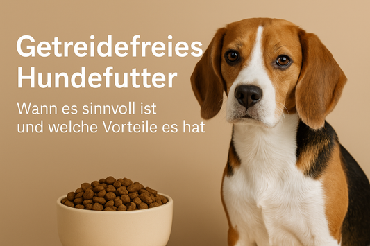 Getreidefreies Hundefutter