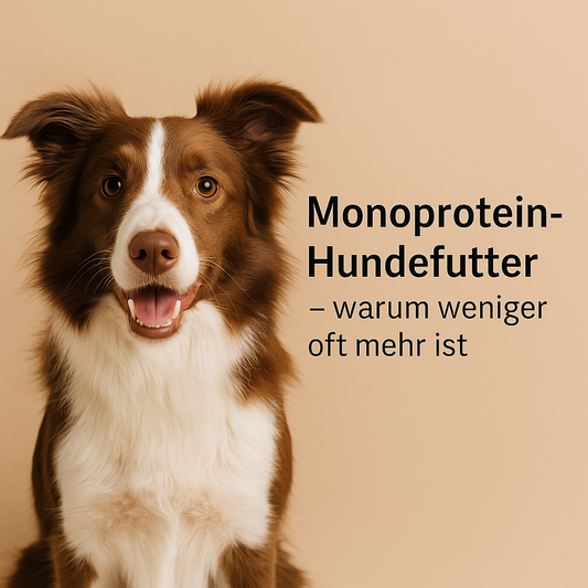 Monoprotein Hundefutter