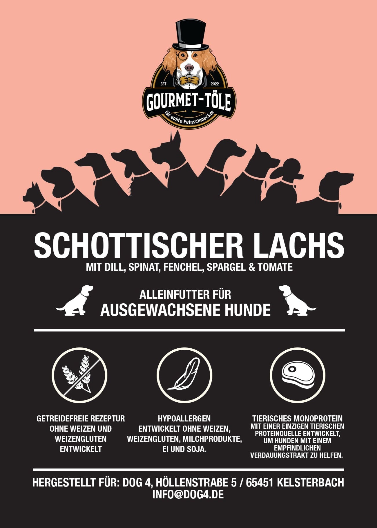 Schottischer Lachs mit Dill, Spinat, Fenchel, Spargel & Tomate