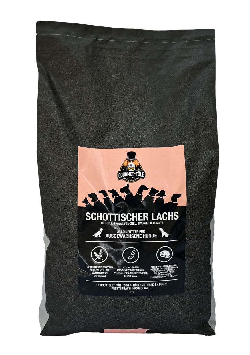 Schottischer Lachs mit Dill, Spinat, Fenchel, Spargel & Tomate