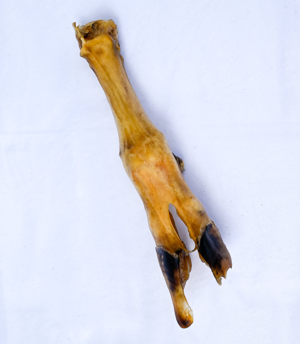Ziegenfüße