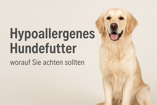 Hypoallergenes Hundefutter