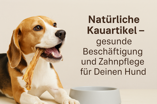 Natürliche Kauartikel