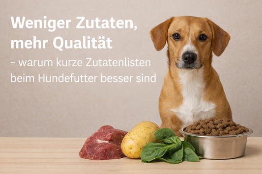 Weniger Zutaten, mehr Qualität – warum kurze Zutatenlisten beim Hundefutter besser sind
