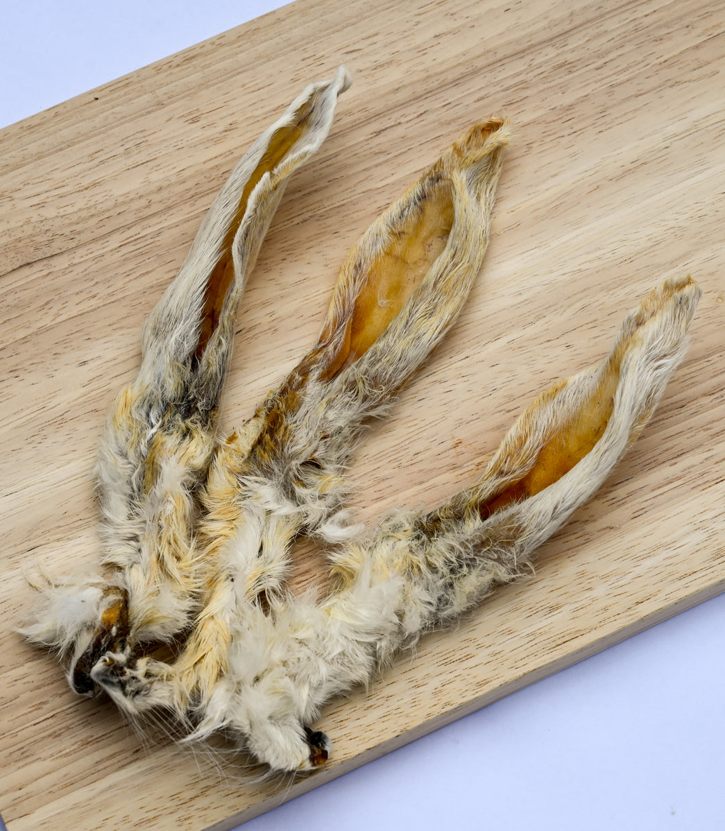 Premium Kaninchen-Ohren mit Fell