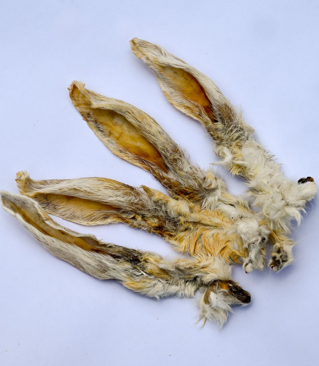 Premium Kaninchen-Ohren mit Fell