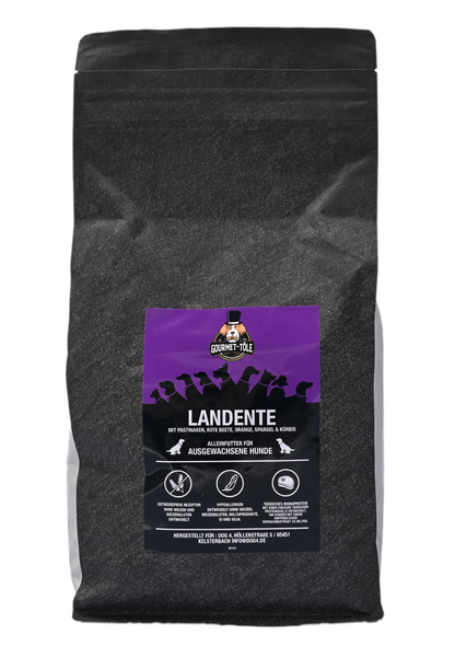 Landente mit Pastinaken, Rote Beete, Orange, Spargel & Kürbis