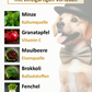 Lamm aus Wiesenaufzucht mit Minze, Granatapfel, Maulbeere, Brokkoli & Fenchel