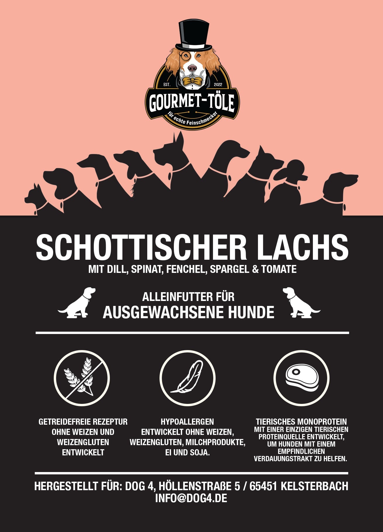 Gourmet-Töle - Schottischer Lachs mit Dill, Spinat, Fenchel, Spargel & Tomate 12kg