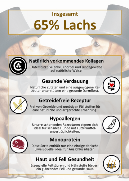 Infografik zu Gourmet-Töle Schottischer Lachs Trockenfutter
