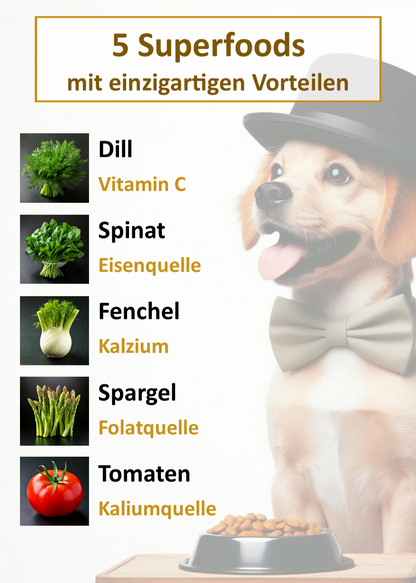 Produktinformation zu Gourmet-Töle Schottischer Lachs Trockenfutter
