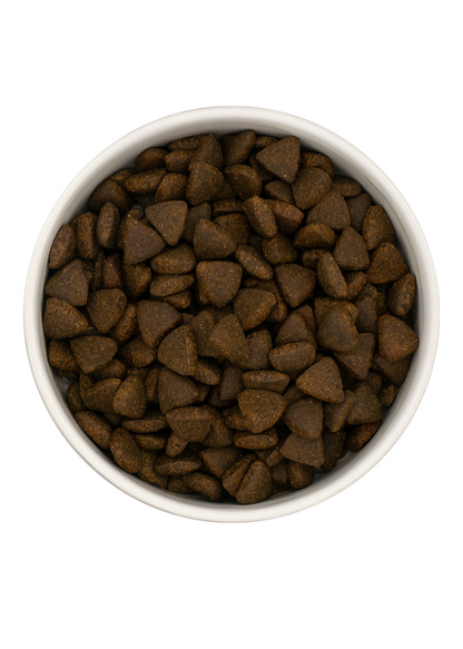 Gourmet-Töle Schottischer Lachs Trockenfutter in einer Futterschüssel