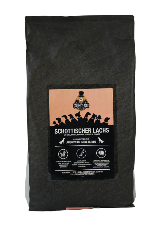 Schottischer Lachs mit Dill, Spinat, Fenchel, Spargel & Tomate